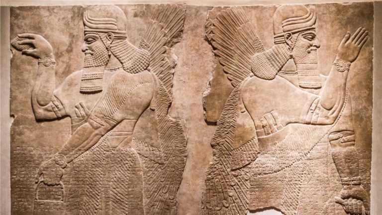 Forgotten History tweet media