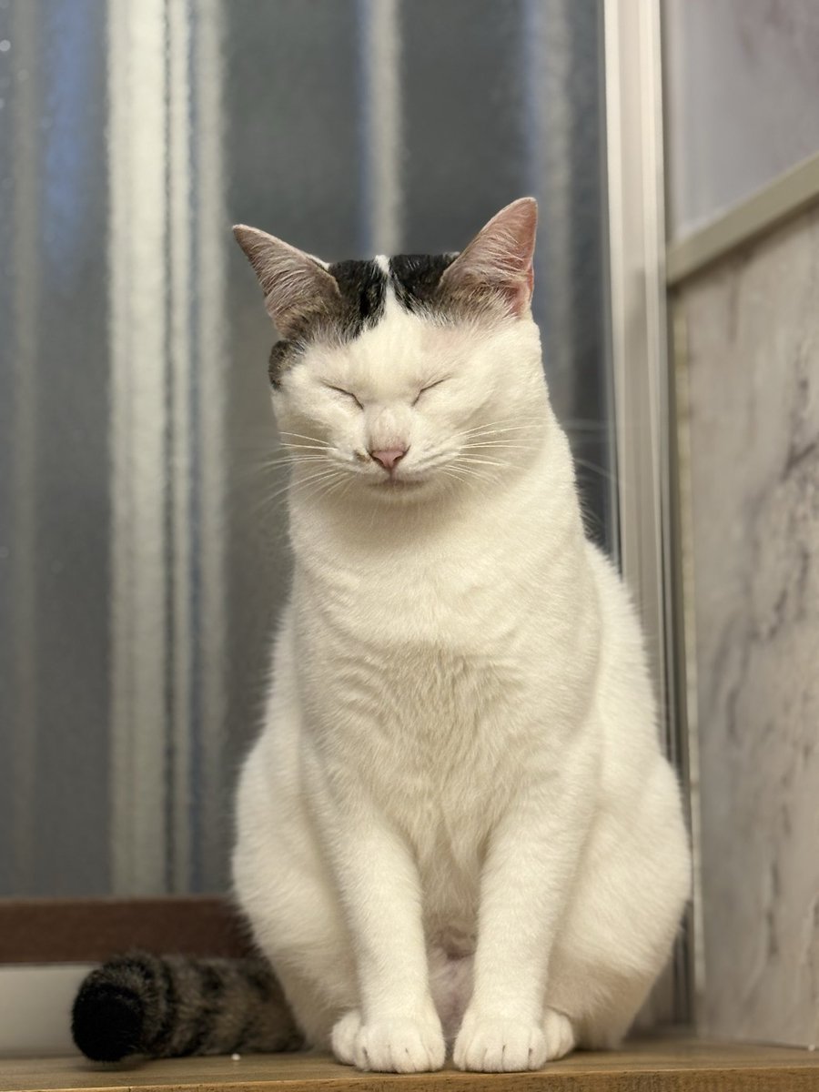 ななみ tweet media