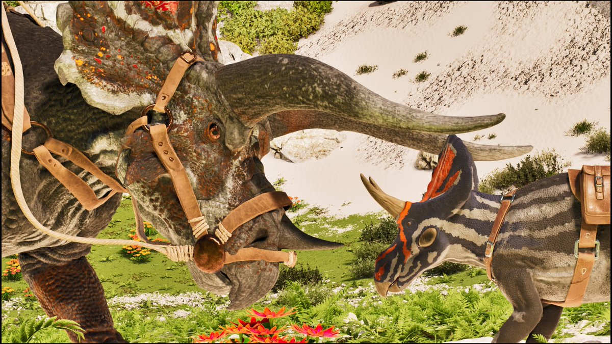 おかか tweet media