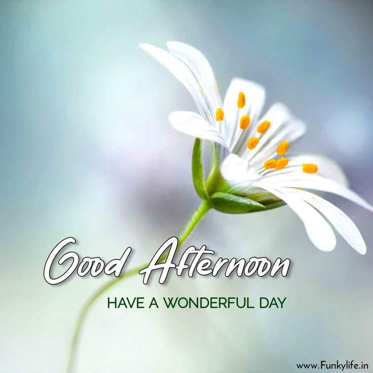 Sawan 🇮🇳 tweet media