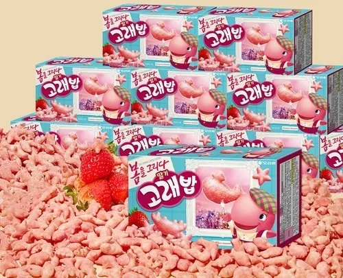 돌콩파파 tweet media