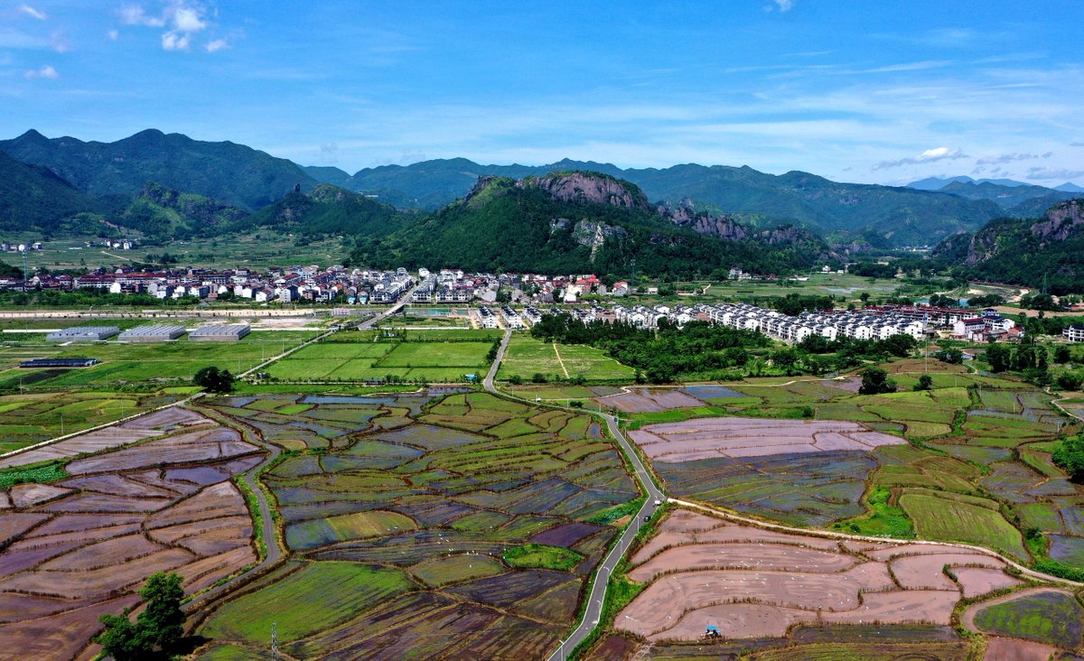 Zhejiang, China tweet media