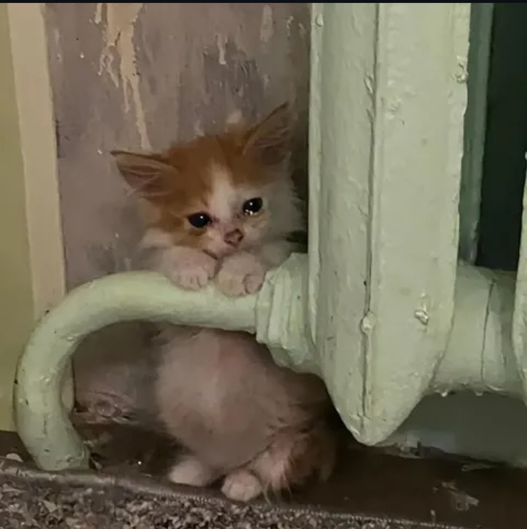 ☁︎︎* Rika ☁︎︎* tweet media