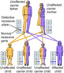 Alec Ross 🇵🇭 tweet media
