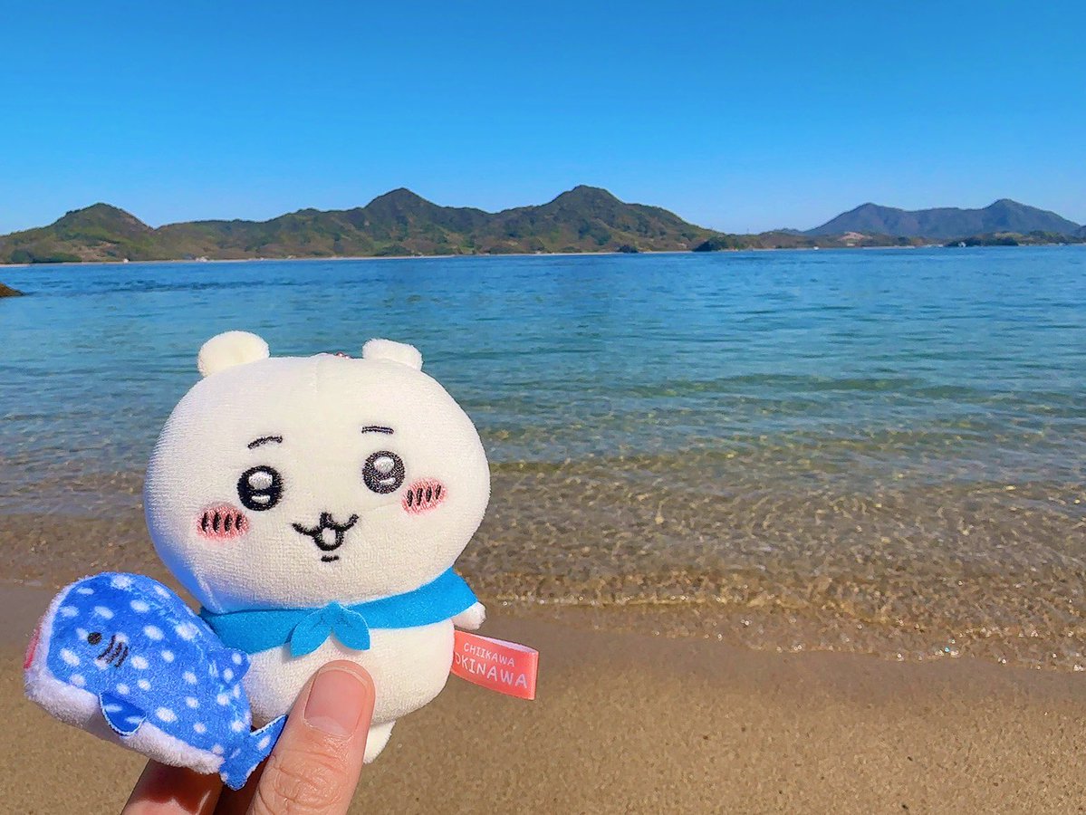 あーちゃん tweet media