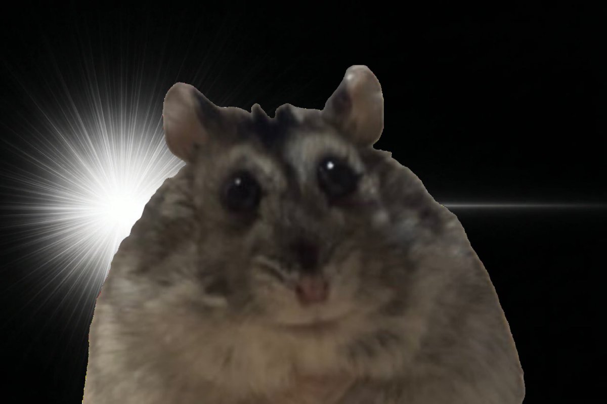 졸린 이장과 쥐인님들 tweet media