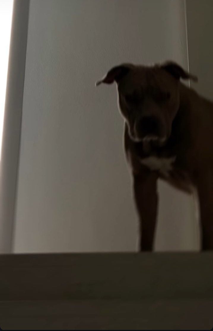 laly🐰 tweet media