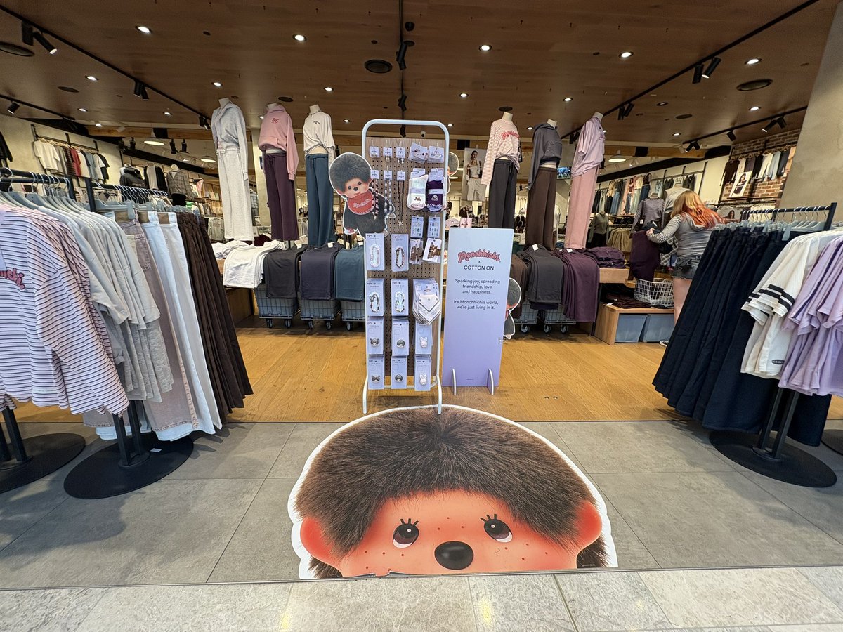 こあらのまちこ tweet media