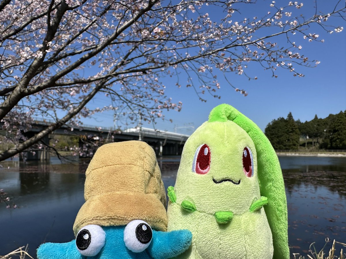 オムオム⭐︎ナイトフィーバー tweet media