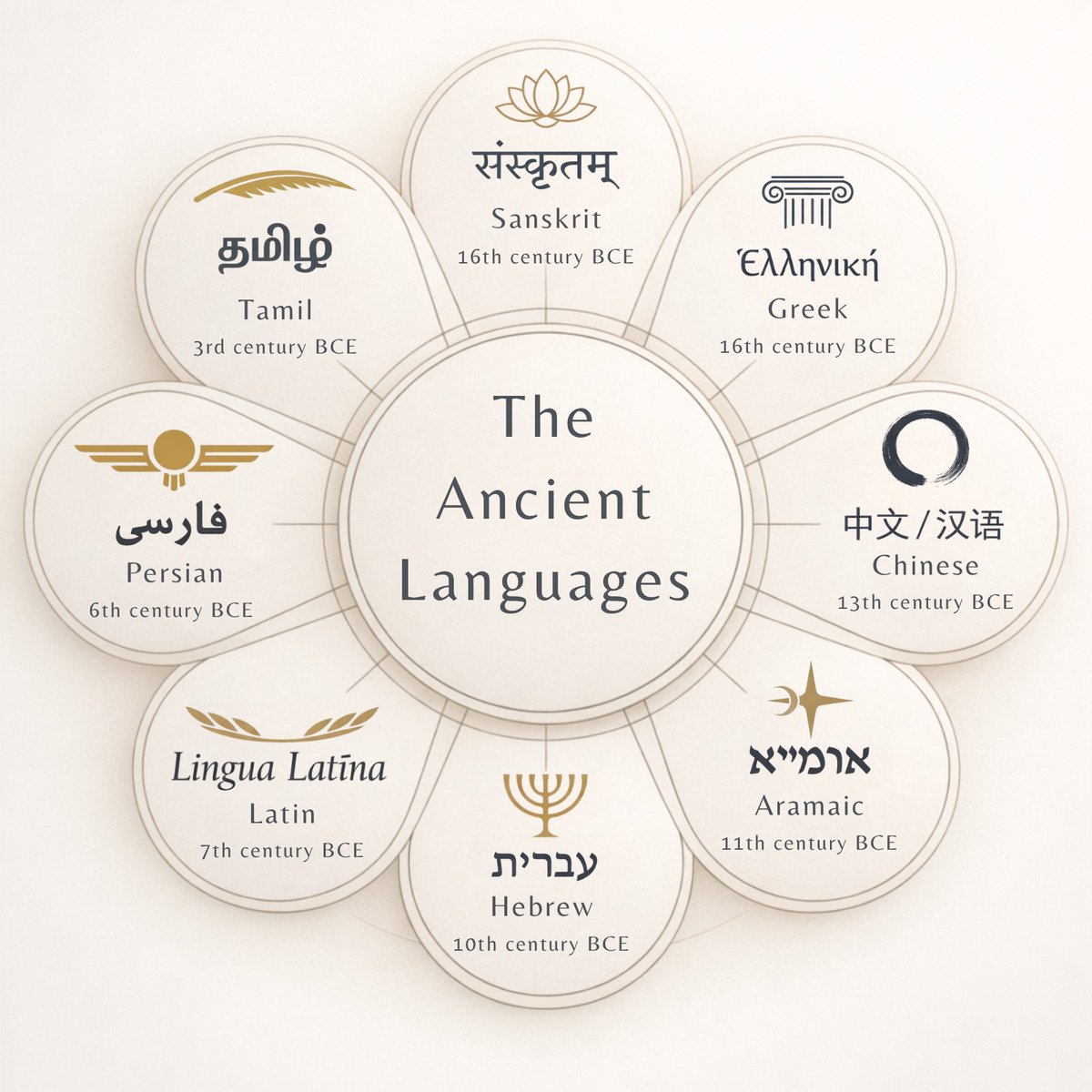 Roger Marques tweet media