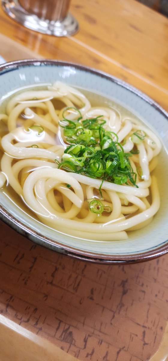 考えるな、うどん食え。Don't think, eat UDON. tweet media