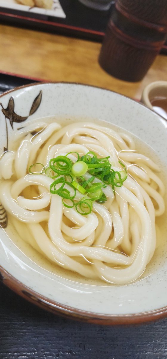 考えるな、うどん食え。Don't think, eat UDON. tweet media
