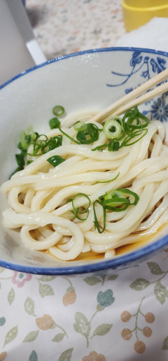考えるな、うどん食え。Don't think, eat UDON. tweet media