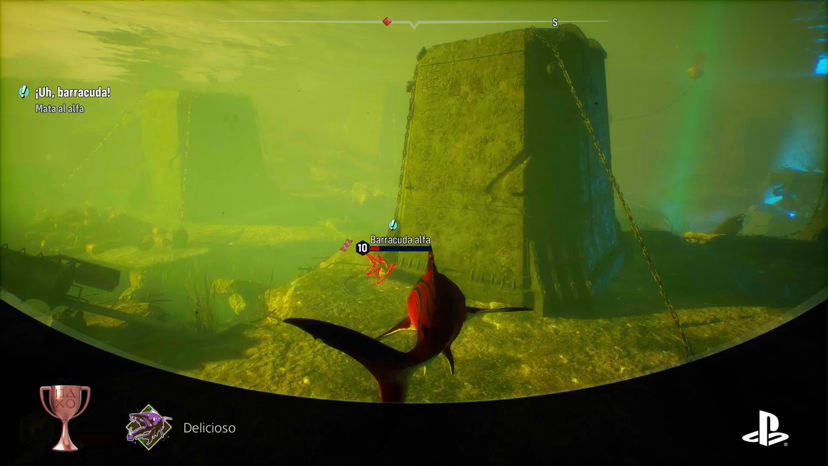 Skeith Automatic tweet media