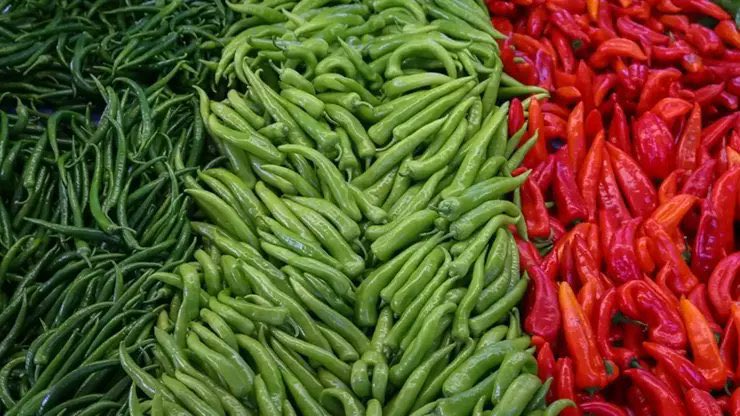 DEVLET YANLISI 🇹🇷 tweet media