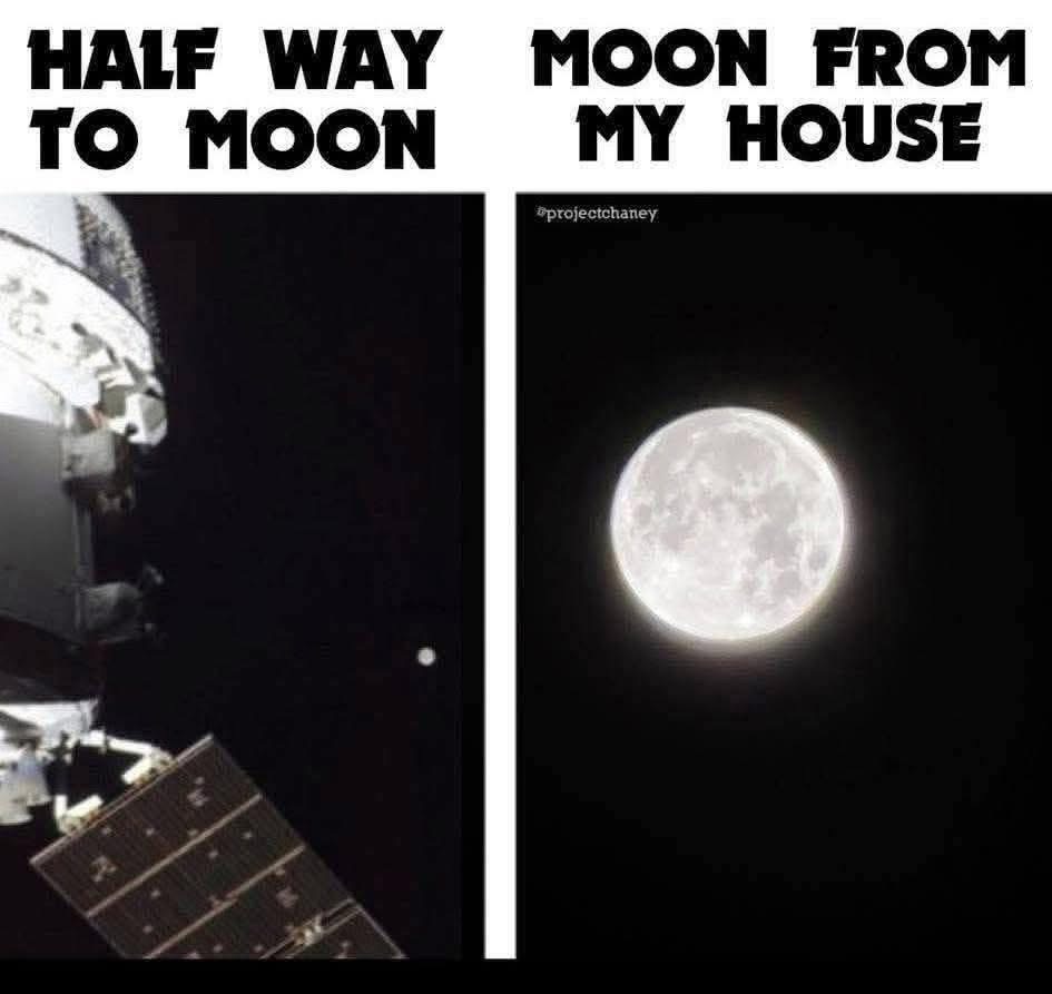 🧬Maxpein🧬 tweet media