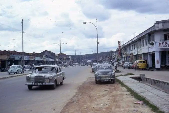 Not Elon Musk tweet media