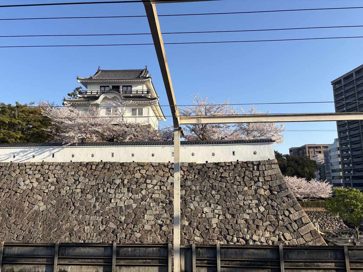remotetsu's tweet photo. 井原へ向かう途中、ふと降りた福山駅。
目の前に広がっていたのは、満開��桜に包まれた福山城。
ほんの少しの寄り道が、忘れられない春の一瞬になる🌸🏯
#井原鉄道 #福山駅 #リモ鉄 https://t.co/SRoNzyOCxI