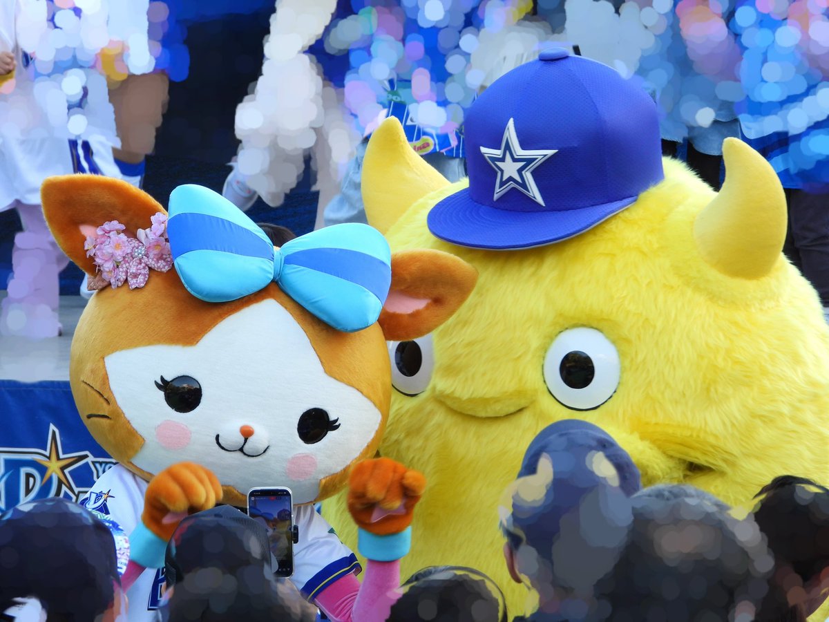 🟡🦭 tweet media