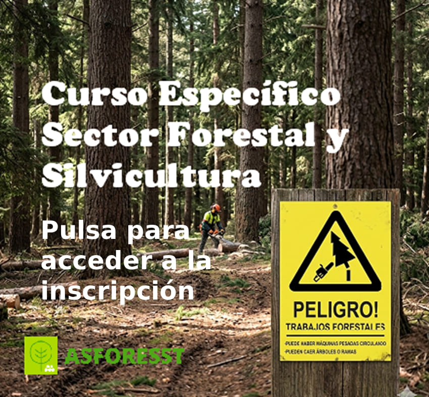 Asmadera tweet media