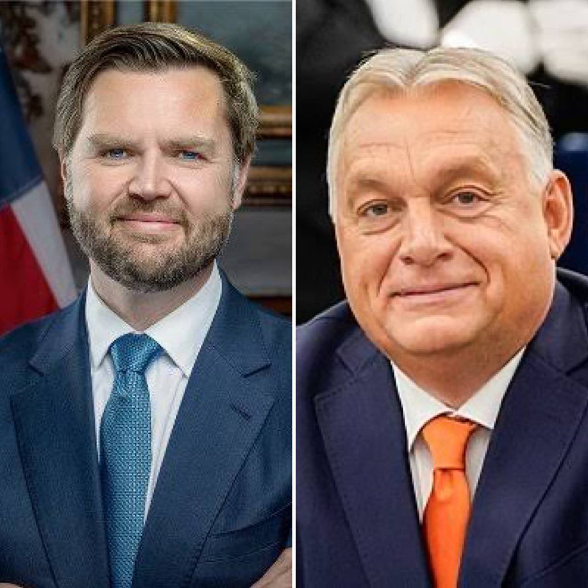 Maulbeere tweet media