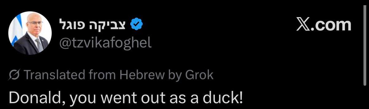 World Vibe tweet media