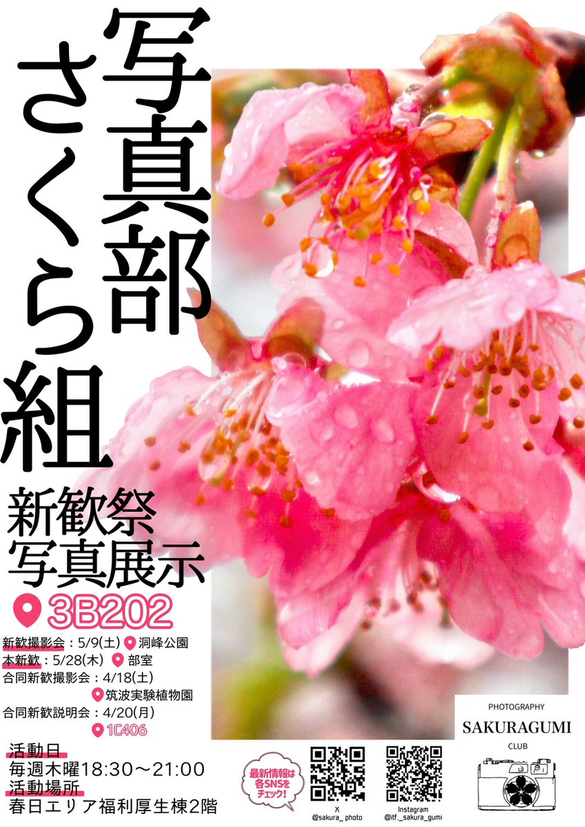 新入生の皆さん、いかがお過ごしでしょうか？
引っ越しやら入学やらでバタバタしているところとは思いますが、今週金曜は新歓祭です！！
写真部さくら組は
3B302（第3エリアB棟2階）
にて写真の展示を行いますので、ぜひお気軽に遊びに来てください！
#筑波新歓2026