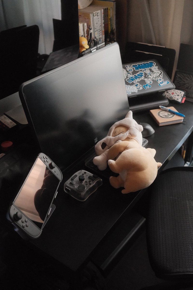 NATA 🐈‍⬛️ tweet media