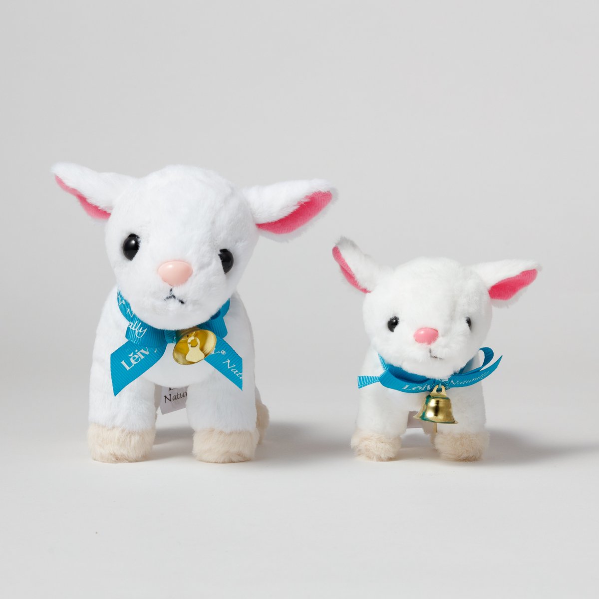 【公式】Leivy Naturally（レイヴィー） tweet media