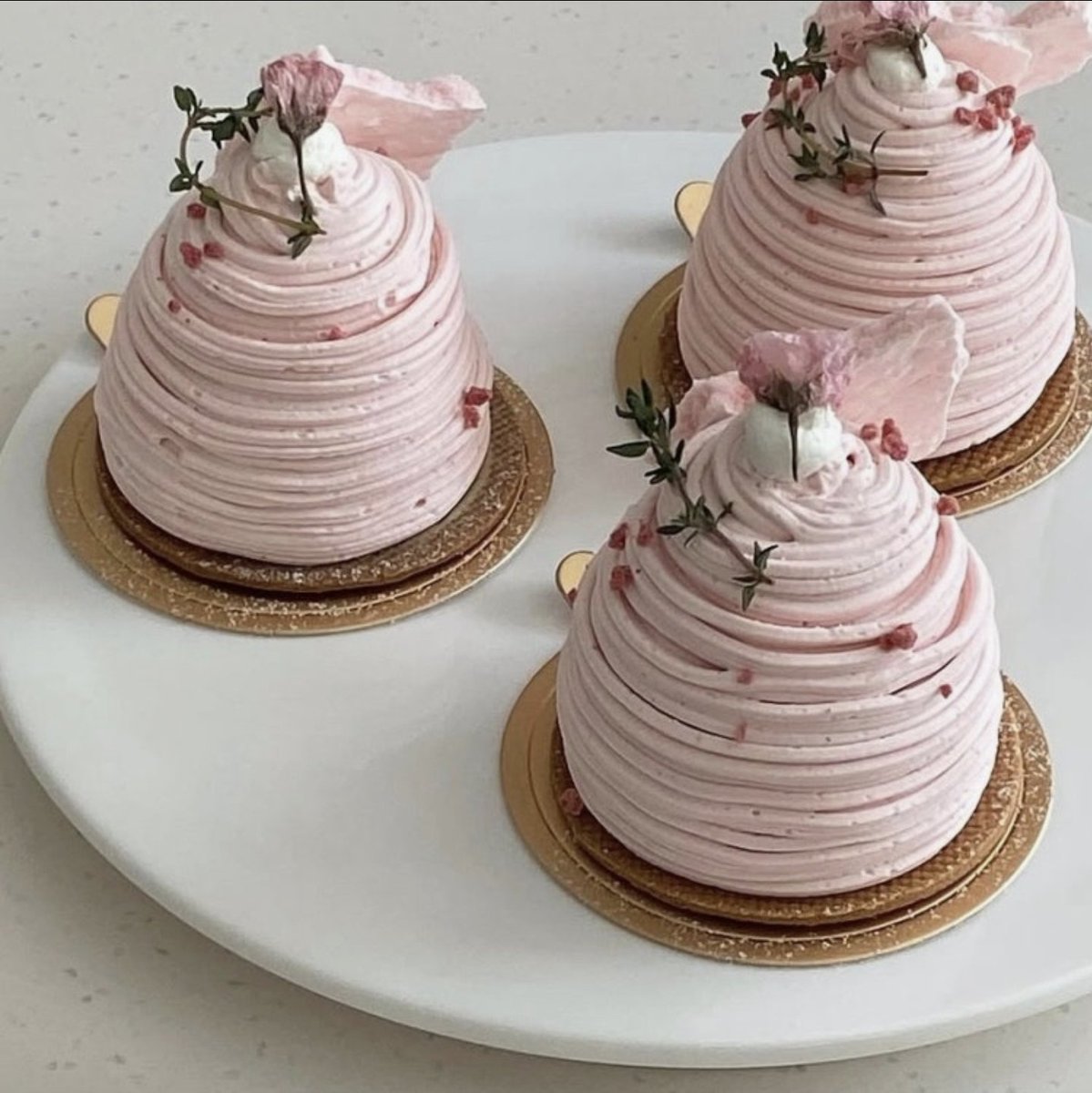 むちゅう🌌 tweet media