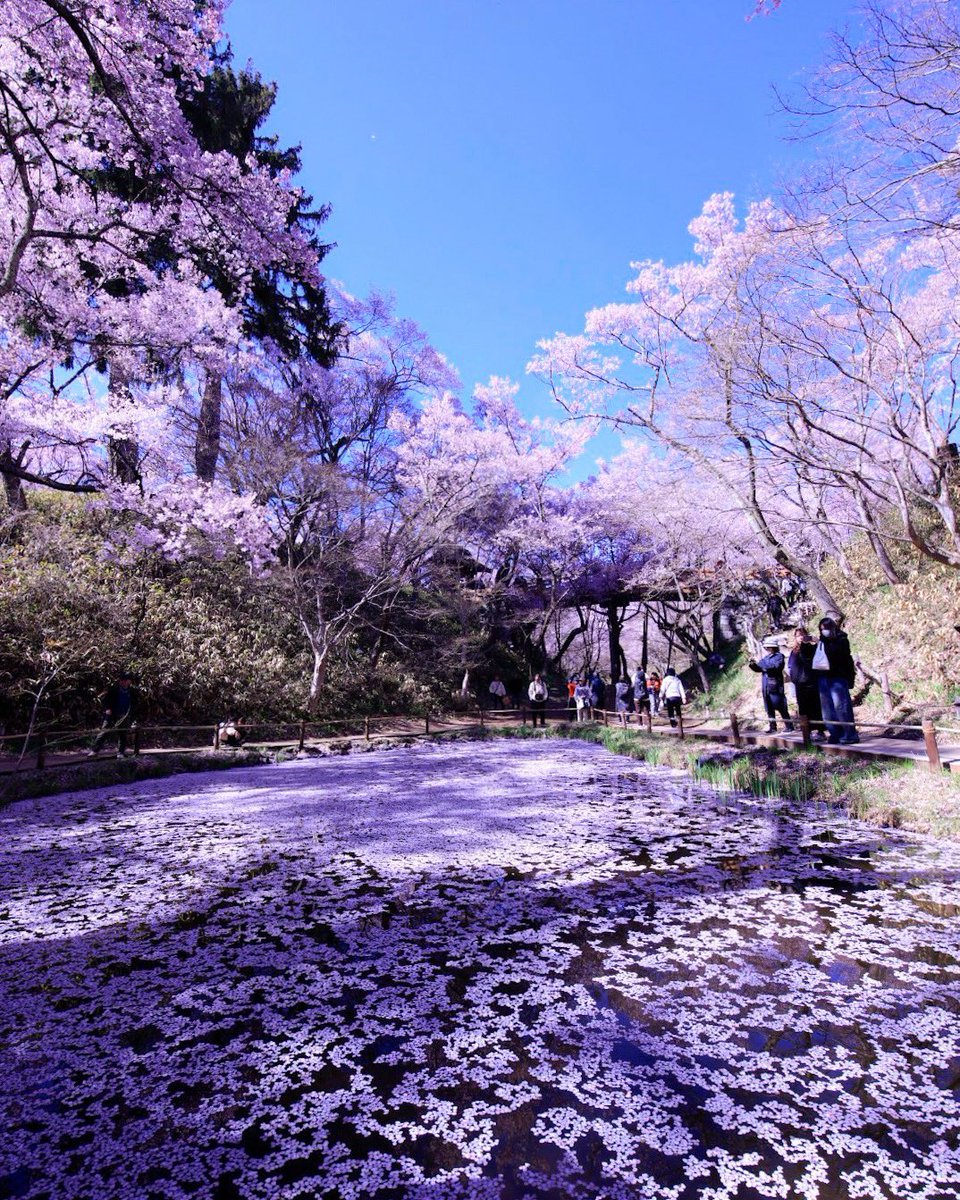 おいでな伊那 伊那市観光協会 tweet media