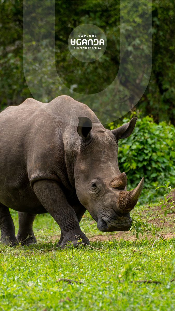 Explore Uganda 🇺🇬 tweet media