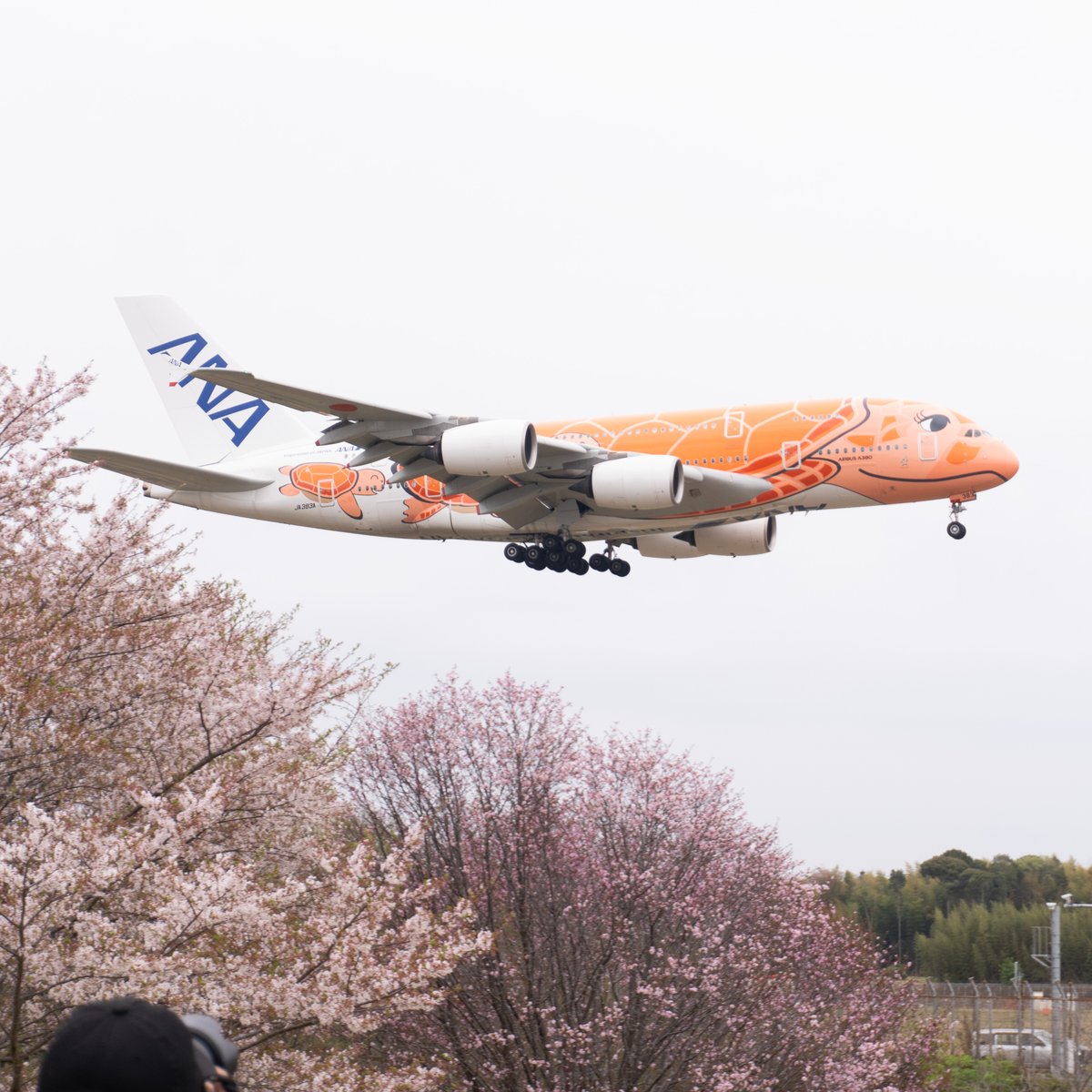 sanpostudio's tweet photo. 桜も散り始めましたね。風に舞う桜と空を行く飛行機を見上げて、清々しい春の景色を活版印刷の作品に閉じ込めて届けたくなり、
急遽受付開始。thankyouカードにお名前を心を込めて手書き。今季最後、残り僅かです。
https://t.co/lhYAhGIOIy https://t.co/uteVyiwucE