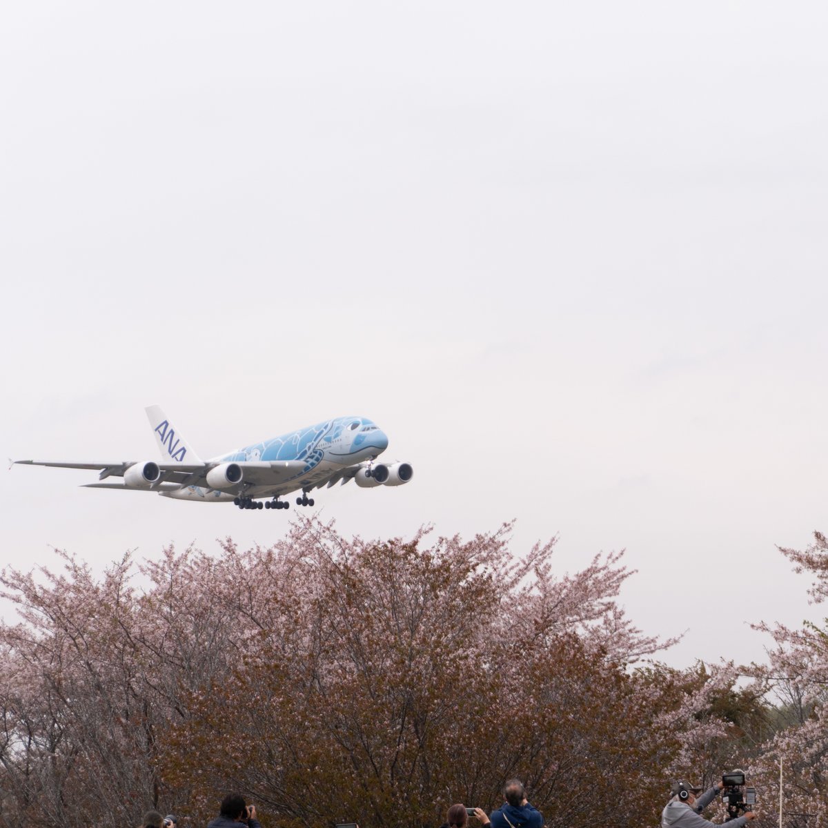 sanpostudio's tweet photo. 桜も散り始めましたね。風に舞う桜と空を行く飛行機を見上げて、清々しい春の景色を活版印刷の作品に閉じ込めて届けたくなり、
急遽受付開始。thankyouカードにお名前を心を込めて手書き。今季最後、残り僅かです。
https://t.co/lhYAhGIOIy https://t.co/uteVyiwucE
