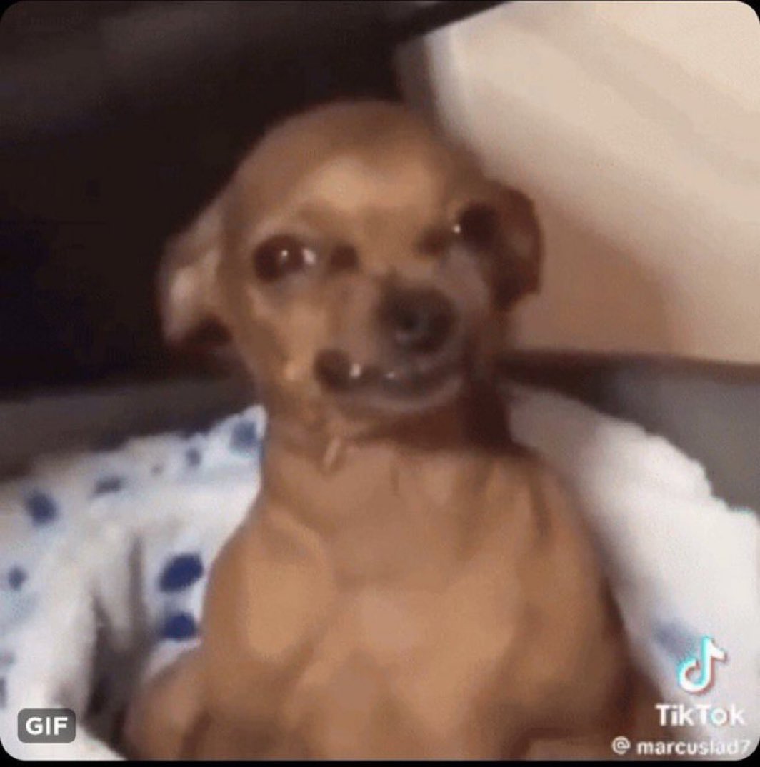 Eminiture tweet media