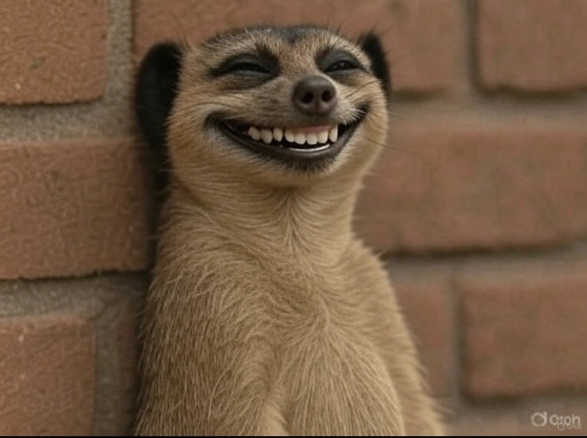 Yesterday I had to put my almost one month old baby down and lecture her in Luo about the nonsense of staying awake at night. I told her she’s now old enough to know the difference btn day &amp; night.
I concluded by “nge ni adeg ming baa”
She slept from 11pm-8am. Only woke up once.