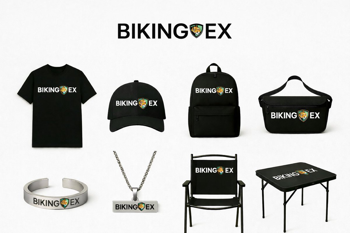 BiKing币王中文 tweet media