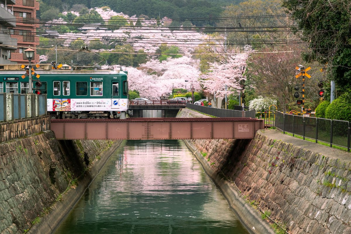 nimograph's tweet photo. 2026.4.4 滋賀県大津市　三井寺周辺散策

#fujifilm_xseries https://t.co/vVW6YmcTa9