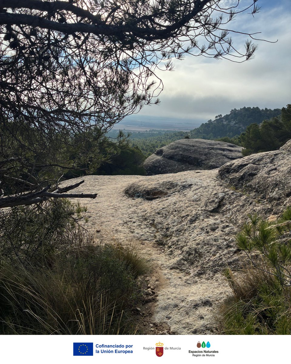 MonteArabiMN's tweet photo. El #MarDePiedra del #MonteArabíMN parece un mar detenido en el tiempo ⏳

Estas “olas” de roca se formaron hace millones de años, cuando este lugar estaba bajo el #MarDeThetis

El agua y el viento esculpieron este paisaje único 🌊 🌬️

#GeologíaAsombrosa #RiquezaGeológica #LIG https://t.co/hxvzoVm2Oq