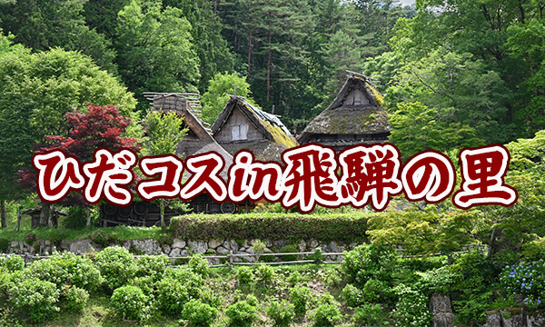 飛騨高山サブカルチャー委員会ひだコス tweet media