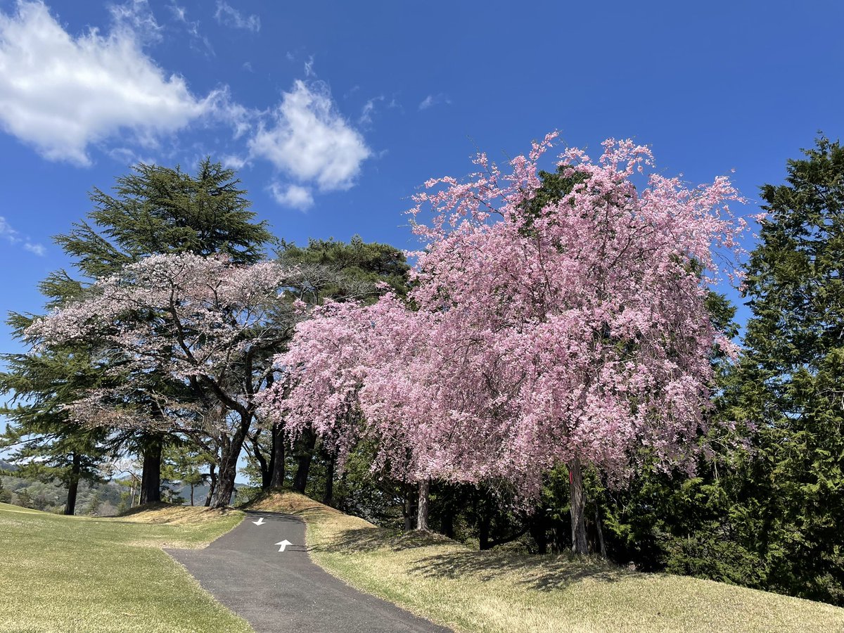 ゆたろ tweet media