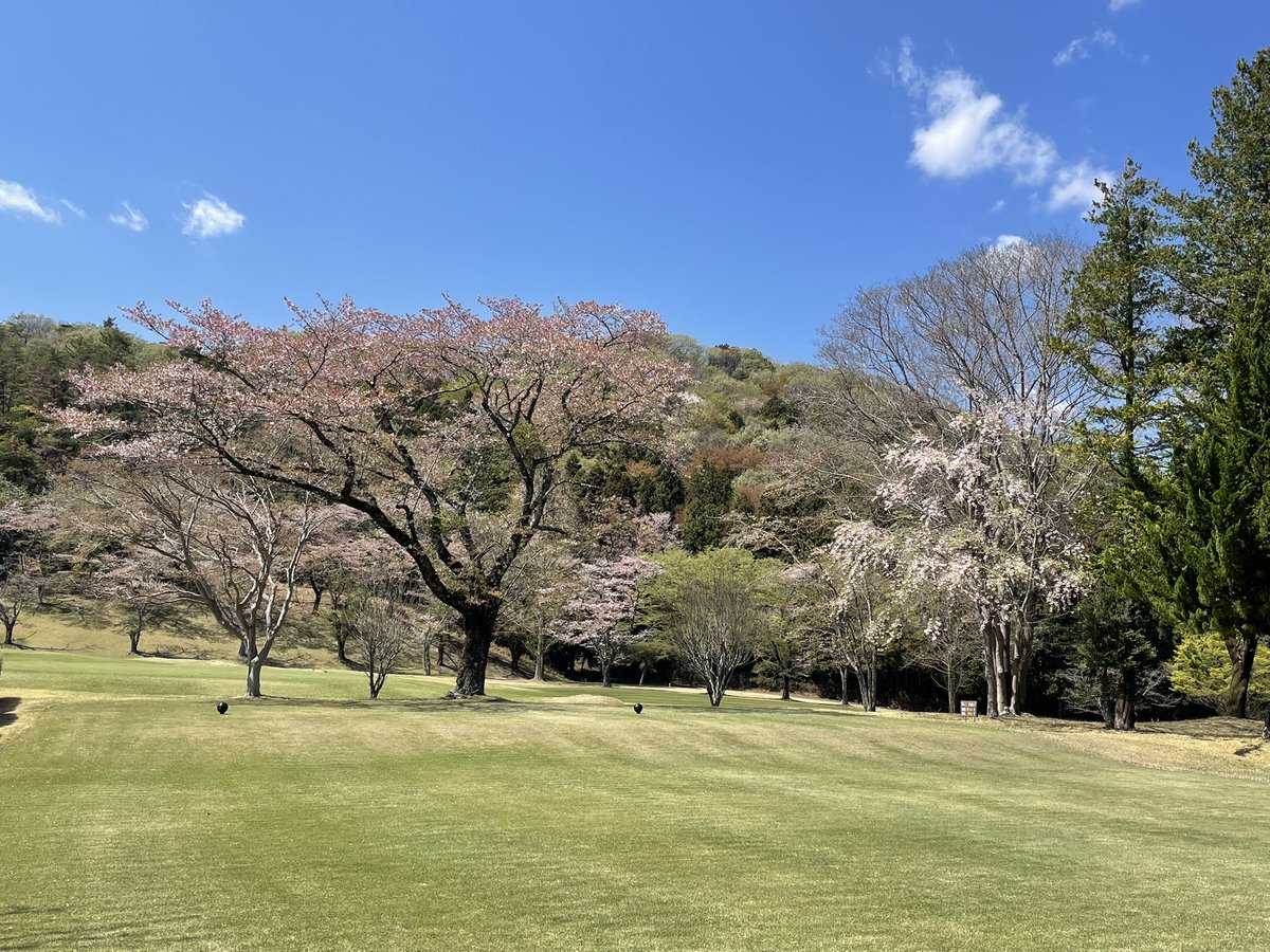 ゆたろ tweet media