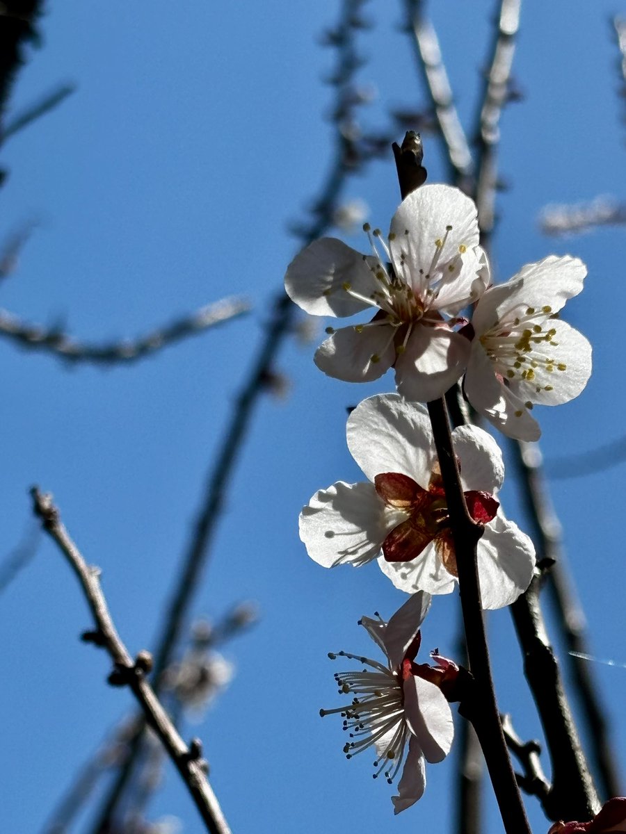 とと太。 tweet media