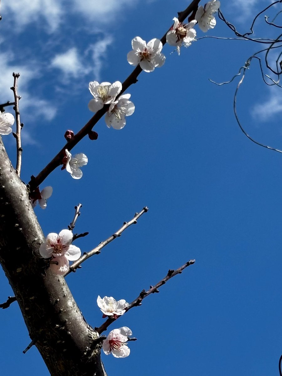 とと太。 tweet media