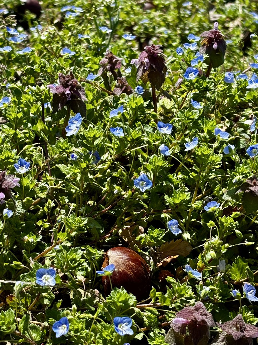 とと太。 tweet media