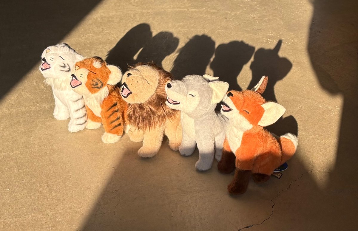 ぬいぐるみのテイクオフ【公式】 tweet media