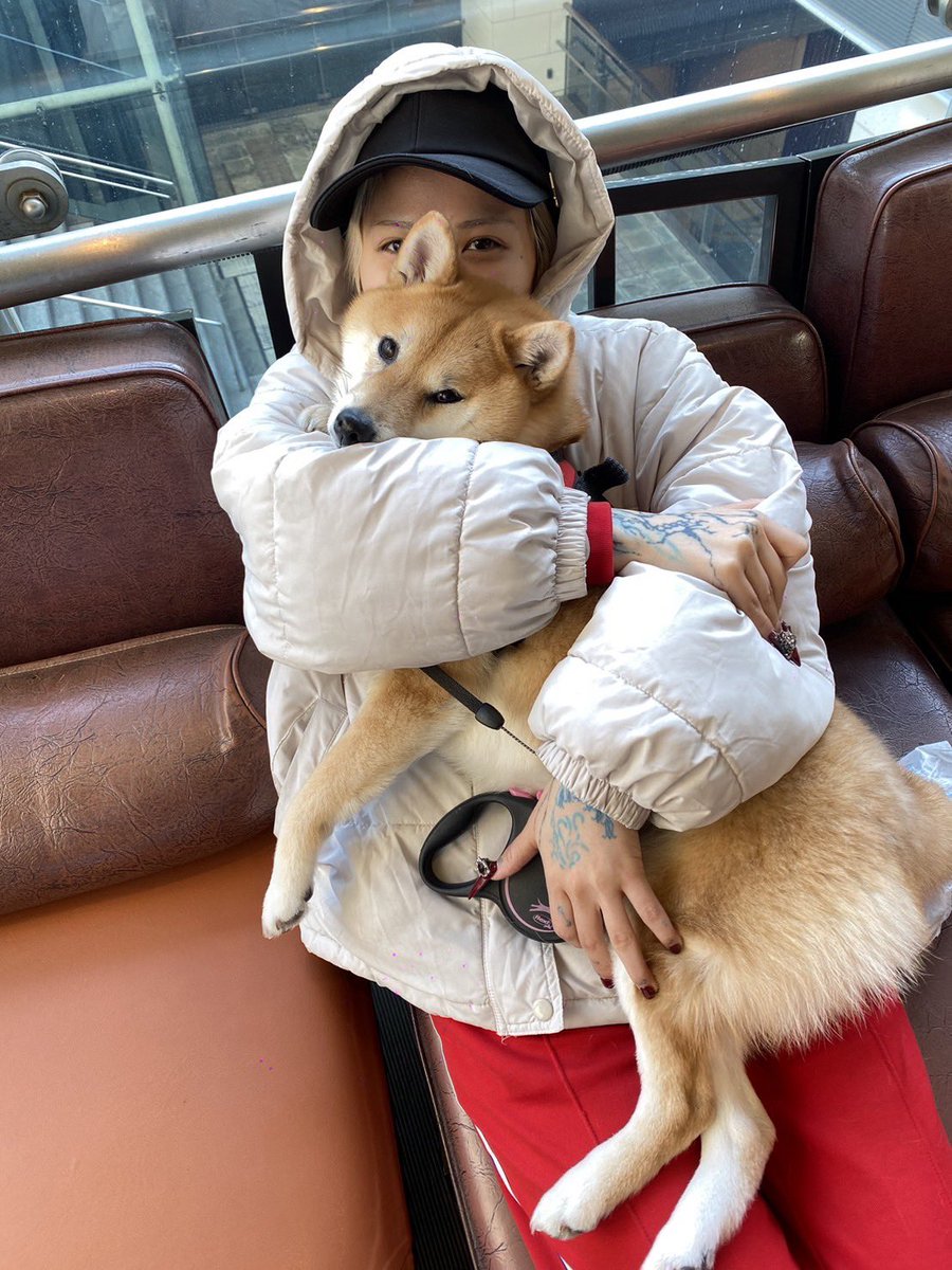 #柴の日　#しばの日