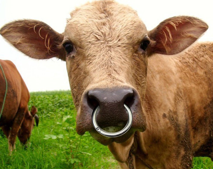 NASHFLASH tweet media