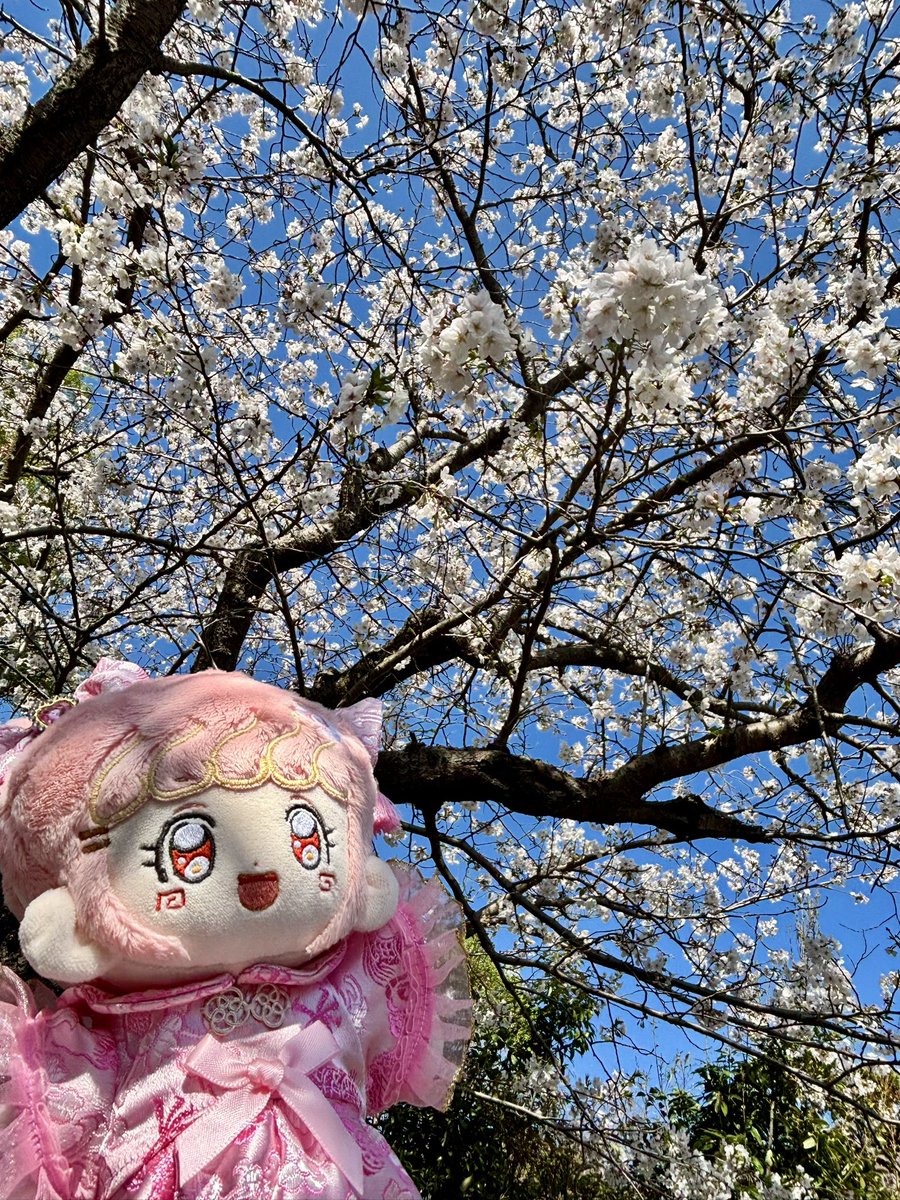 はちこ tweet media