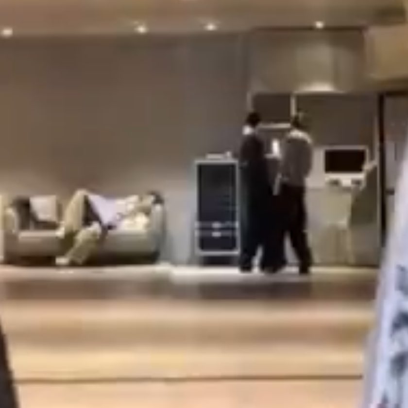 cat #GLOW tweet media